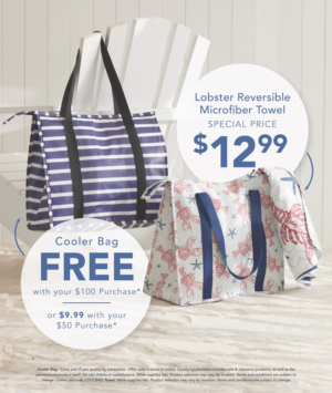 Image of a two piece tote that is being promoted