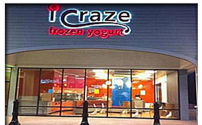 iCraze Frozen Yogurt